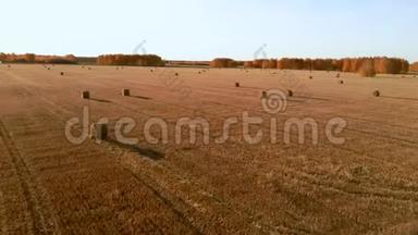空中视野在<strong>田</strong>野上滚动干草堆稻草，收割小麦。 带着一捆干草的<strong>田园</strong>。 景观片段